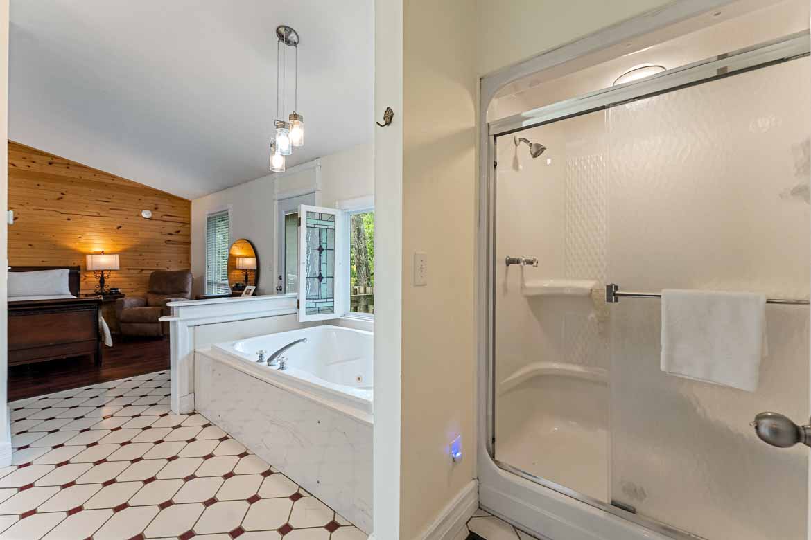 Mountain View Cabin #1 Shower