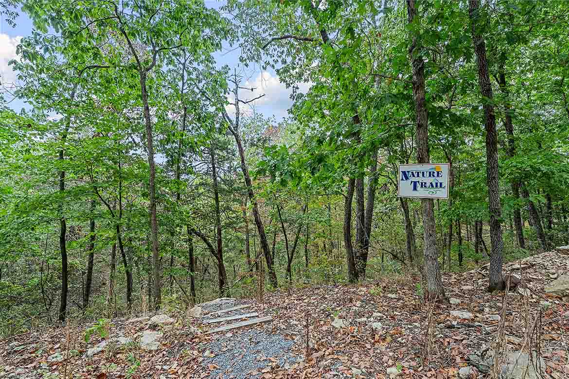 Ozark Spring Cabins - Cliff Side Cabin 02 — photo 45 of 60