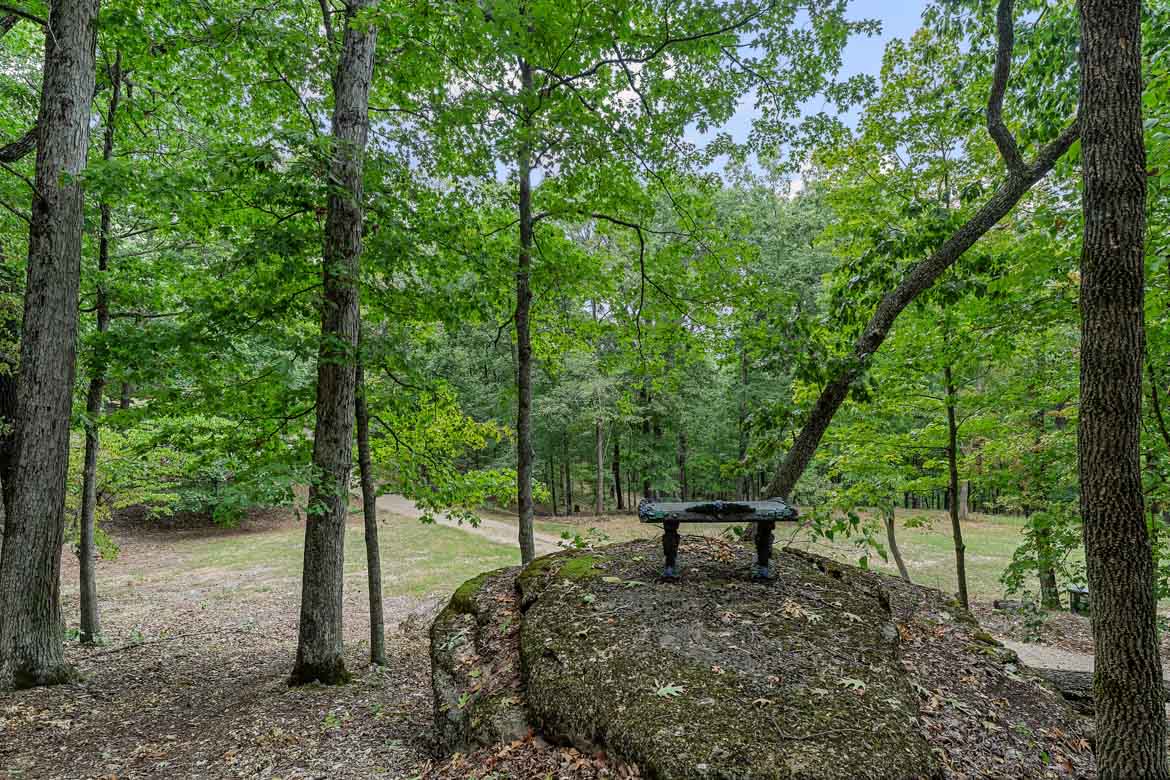 Ozark Spring Cabins - Cliff Side Cabin 02 — photo 49 of 60