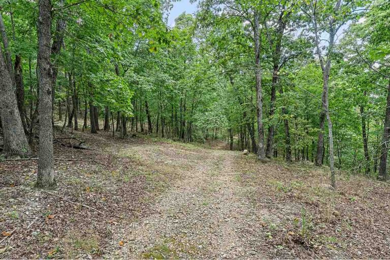 Ozark Spring Cabins Nature Trail