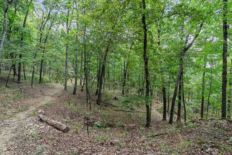 Ozark Spring Cabins Nature Trail